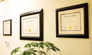 Dr. Tapaltsyan Degrees Education Plaques